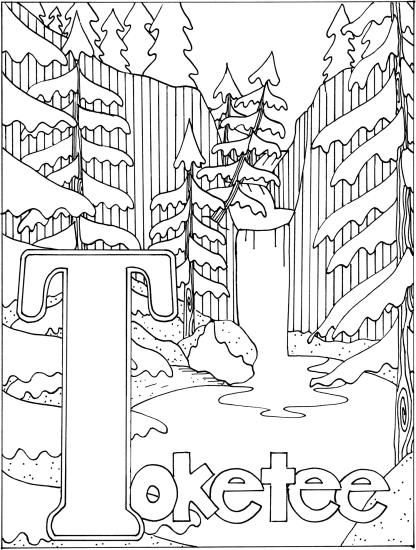 A to Z Oregon Waterfalls Coloring Book - Image 8