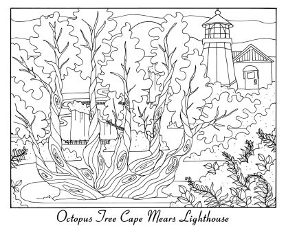 Oregon Coast Coloring Book - Image 5