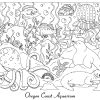 Oregon Coast Coloring Book - Image 7