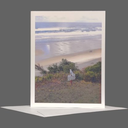 Do Not Feed The Seagull Greeting Card