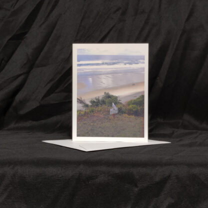 Do Not Feed The Seagull Greeting Card - Image 3
