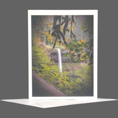 Silver Falls Greeting Card 3