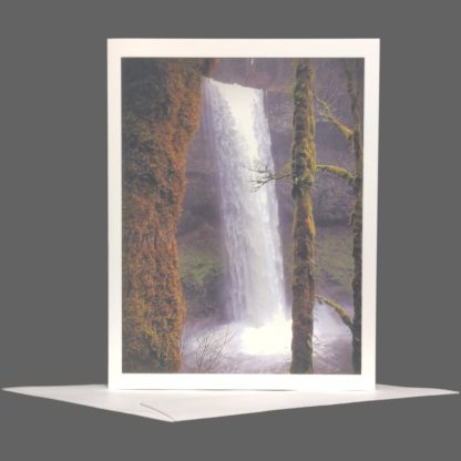 Silver Falls Greeting Card 4