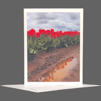 Red Tulips Greeting Card