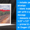 Red Tulips Greeting Card - Image 2