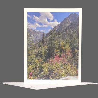 Wallowa-Whitman Greeting Card