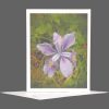 Wild Purple Iris Greeting Card