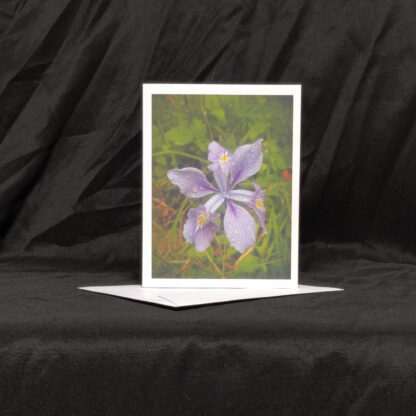 Wild Purple Iris Greeting Card - Image 3