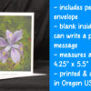 Wild Purple Iris Greeting Card - Image 2