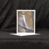 Wolf Creek Falls Greeting Card 1 - Image 3