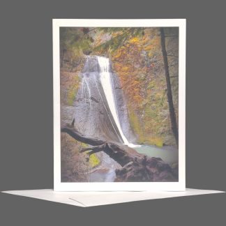 Wolf Creek Falls Greeting Card 1