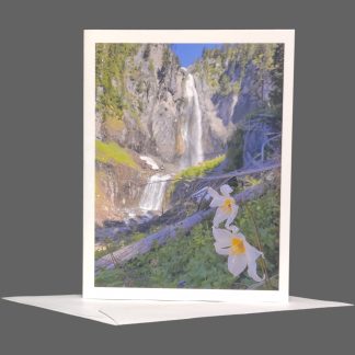 Comet Falls Greeting Card
