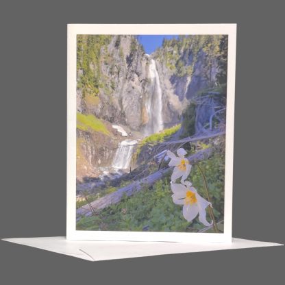 Comet Falls Greeting Card