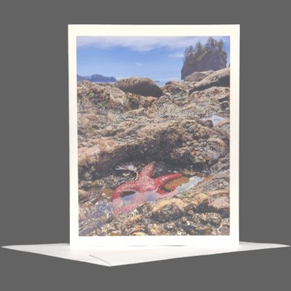 Starfish Greeting Card