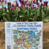 US National Parks Adventure Puzzle - Image 2