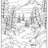 Southern Oregon Adventure Coloring Book - Image 8