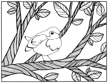 Silver Falls State Park Coloring Book - Image 7