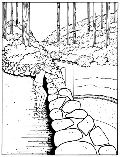 Silver Falls State Park Coloring Book - Image 8